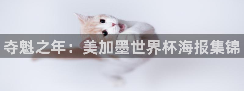 夺魁之年：美加墨世界杯海报集锦