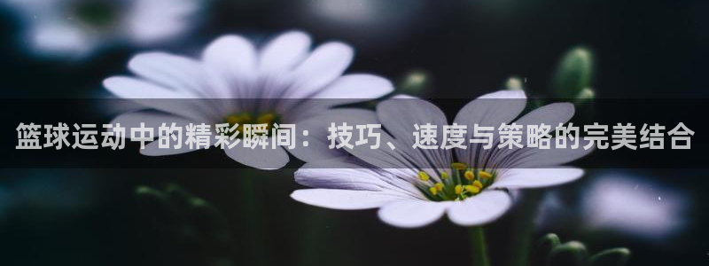 篮球运动中的精彩瞬间：技巧、速度与策略的完美结合