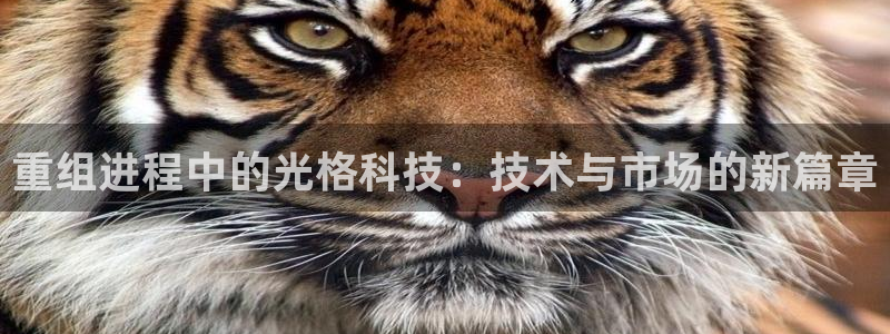 重组进程中的光格科技：技术与市场的新篇章