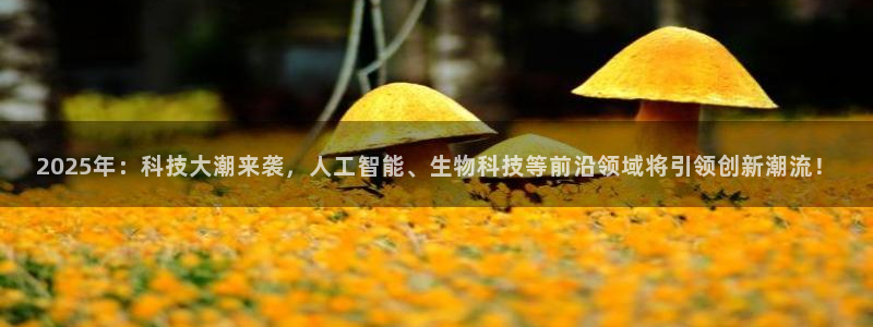 2025年：科技大潮来袭，人工智能、生物科技等前沿领域将引领创新潮流！