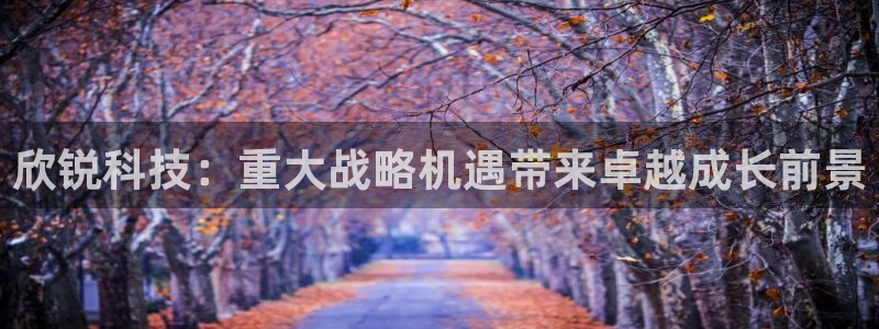 欣锐科技：重大战略机遇带来卓越成长前景