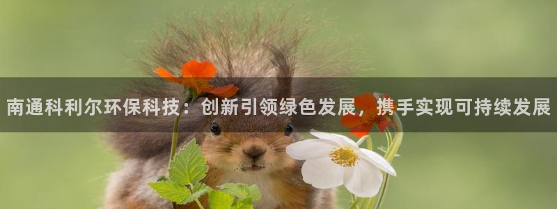 南通科利尔环保科技：创新引领绿色发展，携手实现可持续发展