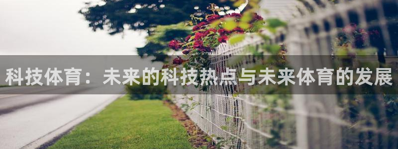 科技体育：未来的科技热点与未来体育的发展