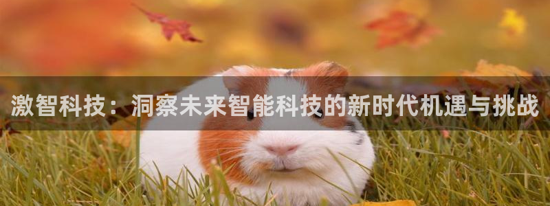 激智科技：洞察未来智能科技的新时代机遇与挑战