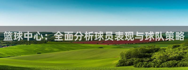 篮球中心：全面分析球员表现与球队策略