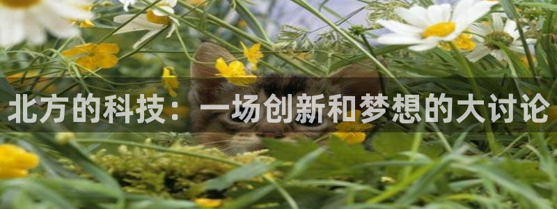 北方的科技：一场创新和梦想的大讨论