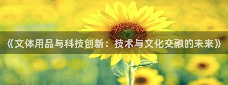 《文体用品与科技创新：技术与文化交融的未来》