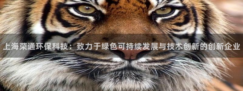 上海荣通环保科技：致力于绿色可持续发展与技术创新的创新企业
