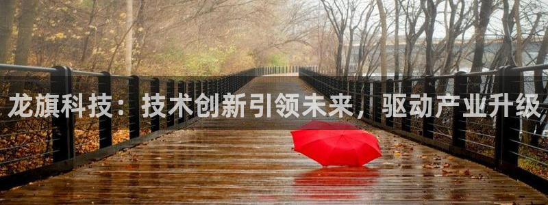 龙旗科技：技术创新引领未来，驱动产业升级