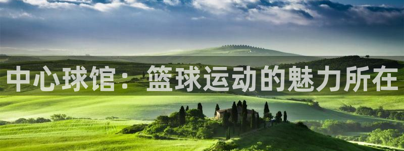 中心球馆：篮球运动的魅力所在