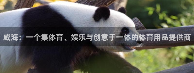 威海：一个集体育、娱乐与创意于一体的体育用品提供商