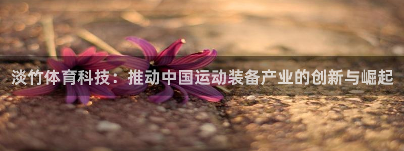 淡竹体育科技：推动中国运动装备产业的创新与崛起