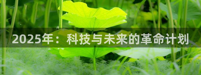 2025年：科技与未来的革命计划
