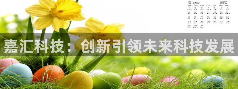 嘉汇科技：创新引领未来科技发展