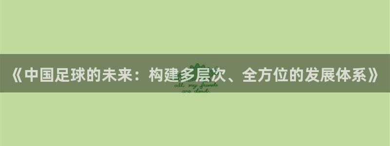 《中国足球的未来：构建多层次、全方位的发展体系》
