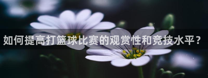 如何提高打篮球比赛的观赏性和竞技水平？