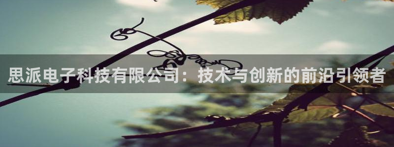 思派电子科技有限公司：技术与创新的前沿引领者