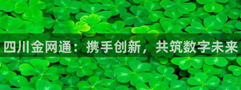 四川金网通：携手创新，共筑数字未来