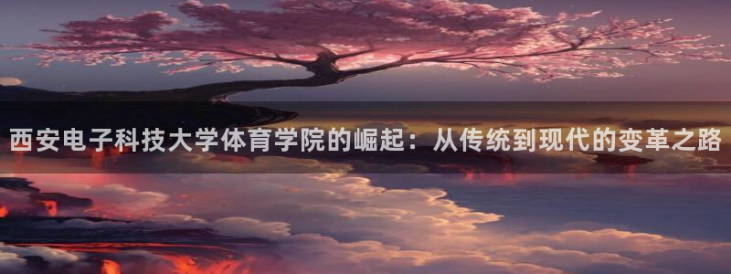 西安电子科技大学体育学院的崛起：从传统到现代的变革之路
